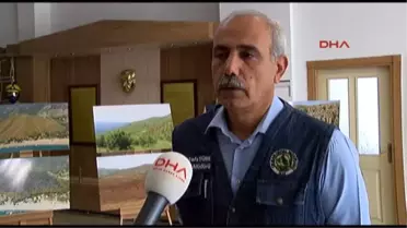 Antalya'da 226 Orman Yangınında 2 Bin Hektar Zarar Gördü