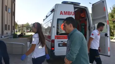 Kahta'da 1 Kişiyi Yılan Soktu