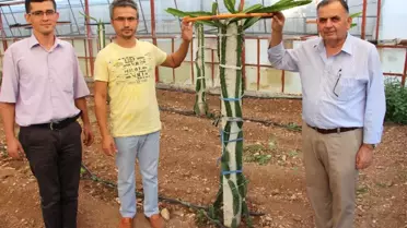 Üretici Yeni Bir Ürün Denemeye Karar Verdi