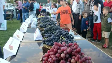 3. Trakya Bağ Bozumu Festivali'nde Üzüm Güzeli Seçildi