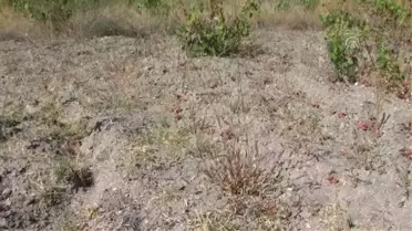 Köylüler 40 Yıl Sonra Yağmur Duasına Çıktı