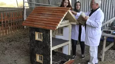 Selçuk Üniversitesi, Koyun Yününden Isı Yalıtım Malzemesi Geliştirdi