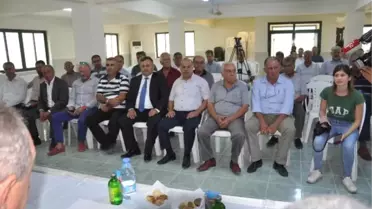 Benim Pamuğum Yunan Pamuğundan Kötü Mü?' Tepkisi