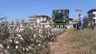 Aydın 'Benim Pamuğum Yunan Pamuğundan Kötü Mü' Tepkisi