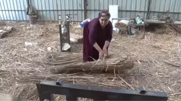 Şark Köşelerinin Hasır Yastıkları Eber Gölü'nden