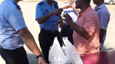 Araç Bagajında Satılan Balıklar İmha Edildi