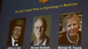Nobel Tıp Ödülü, Biyolojik Saat Çalışmalarına Gitti