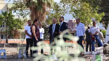 Külliye Bahçesine Zeytin Ağaçları Dikildi