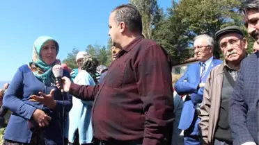Köylüler Bakır Madeni İçin Ağaç Kesilmesine Karşı Çıkıyor