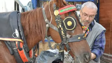 Teknolojiye Yenik Düşen Meslek 'Saraçlık'