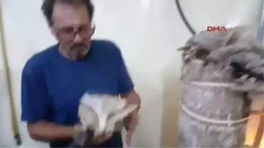 Muğla Kütük Mantarı Hem Üreticiye Hem Tüketiciye Kazandırıyor