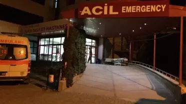 Atv ile Çarptığı Ayının Saldırısına Uğradı