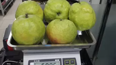 Bu Armutları Görenler Kavun Zannediyor