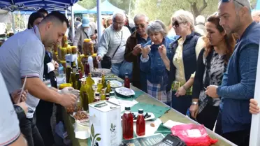 Zeytin Hasadı Törenle Başladı