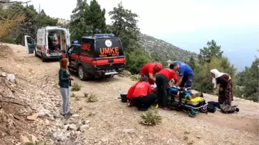 Ağaçtan Düşen Çobanı Umke Kurtardı