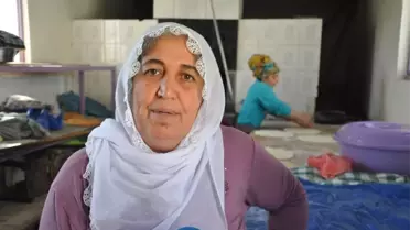 Samanlığı Fırına Dönüştüren Ev Kadını, İlçenin Ekmeğini Çıkarıyor