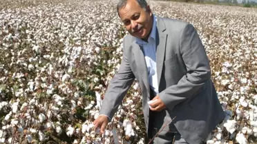 Söke Ziraat Odası'ndan 'Pamuğunuzu Hemen Satmayın' Önerisi