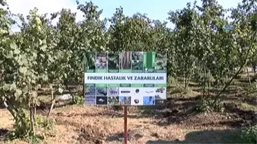 Ziraat Mühendisleri Uyardı: 'Hasat Sonrası Bahçelerinizi Terk Etmeyin'