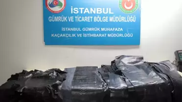 Atatürk Havalimanı'da Yılan ve Timsah Derisi Yakalandı