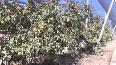 Fakıbaba: 'Biz Zengin Toprakların Zengin Çocukları Olacağız'