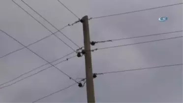 Mahalleliden İlginç ve Tehlikeli Yöntem