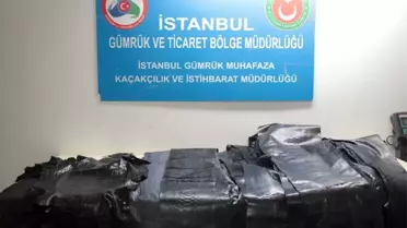 Atatürk Havalimanı'da Yılan ve Timsah Derisi Yakalandı