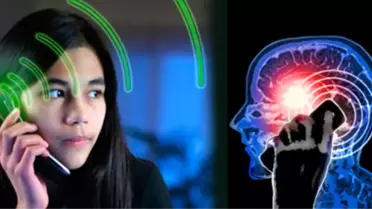 Cep Telefonları ile Beyin Kanseri Arasında Bir İlişki Yok