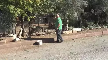 Hayvanlara Şiddet İddiasında Uzlaşmaya 'Mama' ile Varıldı