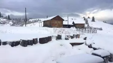 Doğu Karadeniz'de Kar Etkisi
