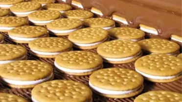 Oylum, 'Wafers'la İhracat Ağını Genişletecek