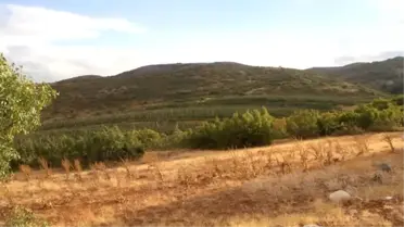 İtalyanların 'Scarlet' Elmasını Elazığ'da Üretiyor