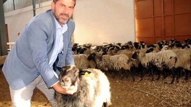 Ukrayna'dan Getirdiği Koyunlarla Ticarete Atıldı, Yıllık Cirosu 1,5 Milyon TL'ye Ulaştı