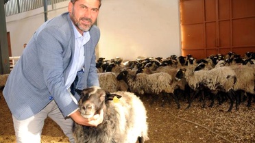 Ukrayna'dan Getirdiği Koyunlarla Ticarete Atıldı, Yıllık Cirosu 1.5 Milyona Ulaştı