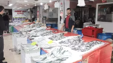Balık Tezgahları Balık Çeşitleri ile Doldu