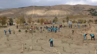 Erzincan'da Denetimli Serbestlik Yükümlüleri 260 Fidan Dikti