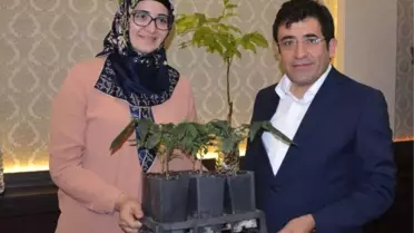 Bu Fidanla Ceviz Üretiminde Kârlılık 6 Kat Artacak