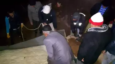 Çukura Düşen İnek, Köylülerin Yardımı ile Kurtarıldı
