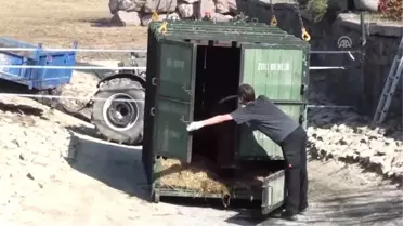 Doğal Yaşam Parkı'nın Yeni Konuğu 'Max'