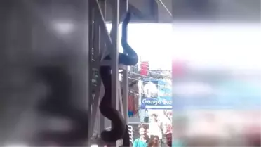 Hindistan'da Kaydedilen Anakonda Videosu Viral Oldu