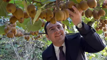 Kaymakam Kivi Bahçelerine Hayran Kaldı