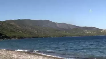 Muğla'daki Orman Yangını