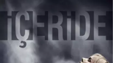 İçeride Filmi