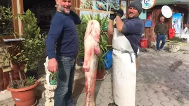 Dev Yayın Balığı Sevindirdi