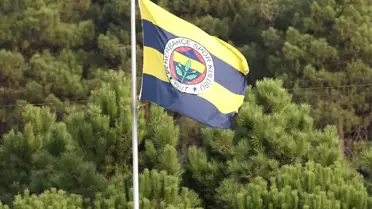 Fenerbahçe Revire Döndü