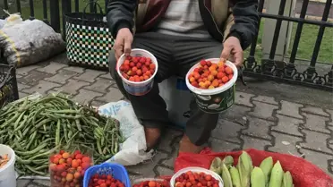 İnebolu'da Mumgile Satışa Sunuldu