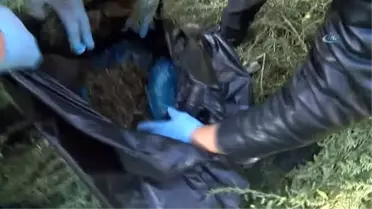 Beyoğlu'nda Özel Harekat Polisli Narkotik Operasyonu