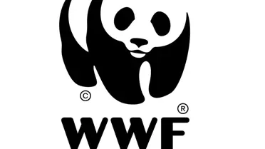 WWF-Türkiye'nin Panda Takımı Yardımseverlik İçin Koşacak