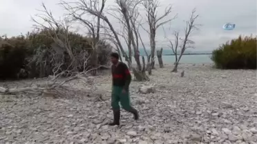 Beyşehir Gölü'nde Su Seviyesi Düşünce Küçük Adacıklar Ortaya Çıktı