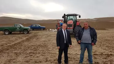 Sungurlu'da 3 Bin 500 Dekar Arazide Anıza Direkt Ekim Yapıldı