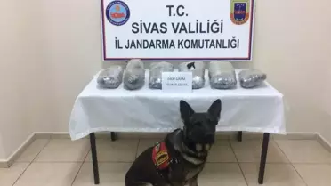 Uyuşturucu Kaçakçıları 'Geçim'den Geçemedi